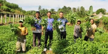 Lapas Bengkulu, Lembaga Pemasyarakatan, Ketahanan Pangan, Panen Kangkung