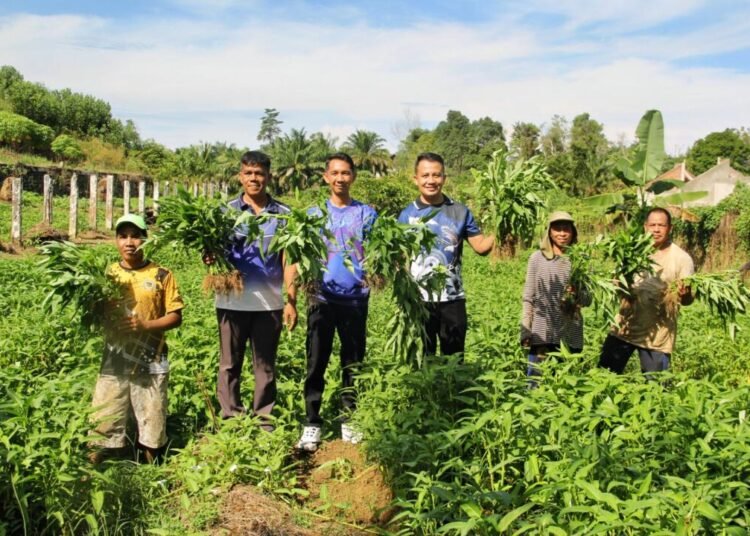 Lapas Bengkulu, Lembaga Pemasyarakatan, Ketahanan Pangan, Panen Kangkung