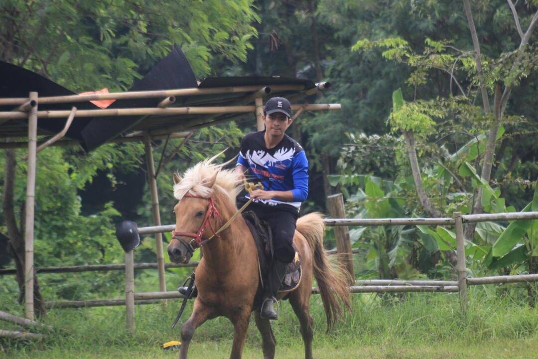 elTAHFIDH