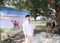 Semarak Iduladha 1447 H, Menteri Nusron Salurkan Hewan Kurban ke Pondok Pesantren Attaqwa 49 WhatsApp Image 2026 05 29 at 14.52.34