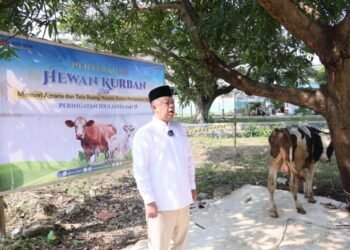 Semarak Iduladha 1447 H, Menteri Nusron Salurkan Hewan Kurban ke Pondok Pesantren Attaqwa 54 WhatsApp Image 2026 05 29 at 14.52.34