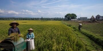Klaim Swasembada Beras 2026: Benar Berdaulat atau Sekadar Berhenti Impor? 61 Ilustrasi hamparan sawah produktif di tengah tekanan alih fungsi lahan dan ketimpangan kesejahteraan petani. Sumber: Artificial Intelligence (AI).