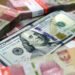 “Orang Desa Tidak Pakai Dollar?”: Dampak Nyata Pelemahan Rupiah bagi Rakyat Kecil 60 dolarr