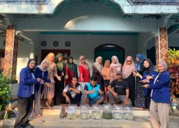 Budidaya Lele