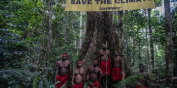 Ilustrasi Hutan Papua. Foto: Jurnasyanto Sukarno/Greenpeace