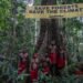 Ilustrasi Hutan Papua. Foto: Jurnasyanto Sukarno/Greenpeace