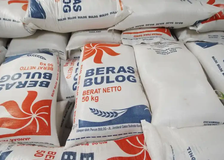 Stok Pangan Dipastikan Aman, Bulog Jamin Stabilitas Beras Jelang Iduladha 46 penyaluran beras bulog untuk stabilisasi harga 20230203 181422