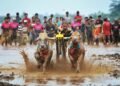 Hukum Tertulis vs Hukum Adat yang Berlaku: Pelajaran dari Blater Madura 50 Di balik kemeriahan kerapan sapi, arena ini bukan sekadar hiburan melainkan ruang sosial tempat blater mempertegas eksistensinya. (Foto: Usman Hadi Wijaya/Pexels)