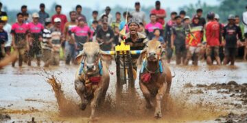 Hukum Tertulis vs Hukum Adat yang Berlaku: Pelajaran dari Blater Madura 55 Di balik kemeriahan kerapan sapi, arena ini bukan sekadar hiburan melainkan ruang sosial tempat blater mempertegas eksistensinya. (Foto: Usman Hadi Wijaya/Pexels)