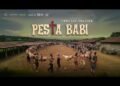 Pesta Babi