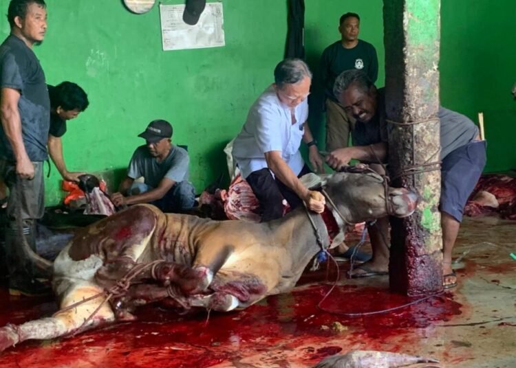 Penyembelihan hewan qurban oleh Ketua Yayasan Ridho Ammar Al-Fadiyah