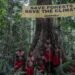 Nasib Masyarakat Adat Papua di Tengah Perubahan lingkungan Saat ini 55 Masyarakat Adat Papua