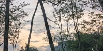 52764 e1782782803394