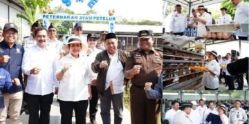 Desain tanpa judul 21