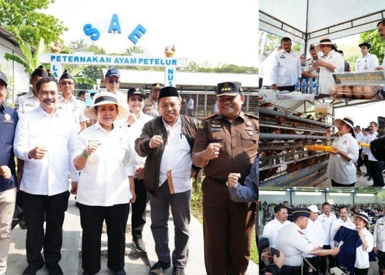 Desain tanpa judul 21