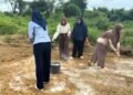 Petani Menjadi Tua, Siapa yang Akan Menanam Pangan Indonesia di Masa Depan? Tantangan Regenerasi dalam Politik Agribisnis Nasional 51 IMG 20260601 WA00341