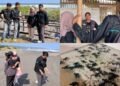 Edukasi Konservasi Penyu dan Aksi Bersih Pantai Jadi Wadah Pembelajaran SDGs 12 bagi Mahasiswa Ilmu Komunikasi Universitas Negeri Yogyakarta 49 Dokumentasi Mahasiswa Program Studi Ilmu Komunikasi UNY, melakukan kunjungan edukatif ke Konservasi Penyu Pantai Pelangi dan melakukan aksi bersih pantai di Kabupaten Bantul, DIY (Sumber: Dokumentasi Pribadi)