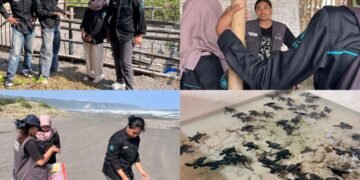 Dokumentasi Mahasiswa Program Studi Ilmu Komunikasi UNY, melakukan kunjungan edukatif ke Konservasi Penyu Pantai Pelangi dan melakukan aksi bersih pantai di Kabupaten Bantul, DIY (Sumber: Dokumentasi Pribadi)