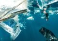 Mikroplastik: Ancaman Tersembunyi di Balik Jernihnya Air Laut 49 Gambar 1. Pencemaran Mikroplastik di Air Laut