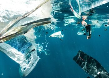 Mikroplastik: Ancaman Tersembunyi di Balik Jernihnya Air Laut 46 Gambar 1. Pencemaran Mikroplastik di Air Laut