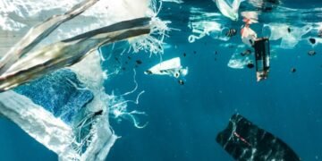 Gambar 1. Pencemaran Mikroplastik di Air Laut