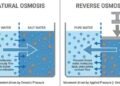 Ilustrasi Natural Osmosis dan Reverse Osmosis untuk Memfilter (Sumber: Stark Water)