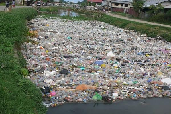Pencemaran Lingkungan dan Tantangannya terhadap Kesehatan Masyarakat Papua 46 IMG 2755