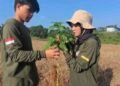 Mahasiswa Agribisnis UNDIP Kampus Batang melakukan pengamatan tinggi tanaman pada kegiatan Praktikum Budidaya Tanaman Hortikultura. (Sumber: Salwa Nahya)