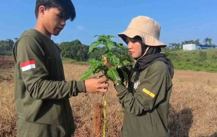 Mahasiswa Agribisnis UNDIP Kampus Batang melakukan pengamatan tinggi tanaman pada kegiatan Praktikum Budidaya Tanaman Hortikultura. (Sumber: Salwa Nahya)