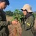 Mahasiswa Agribisnis UNDIP Kampus Batang melakukan pengamatan tinggi tanaman pada kegiatan Praktikum Budidaya Tanaman Hortikultura. (Sumber: Salwa Nahya)