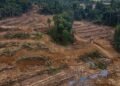 Hukum Adat Papua dan Polemik “Pesta Babi”: Ketika Tanah Leluhur Berhadapan dengan Kepentingan Negara 49 ISKJ SAWA 2