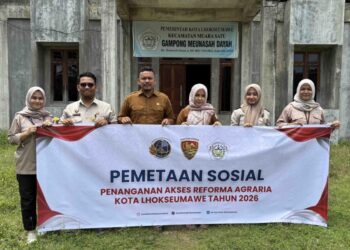 Pemetaan