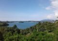 Hutan Perempuan Enggros: Ketika Kearifan Lokal Papua Menjadi Benteng Konservasi Mangrove 52 Teluk Youtefa