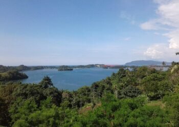 Teluk Youtefa
