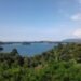 Hutan Perempuan Enggros: Ketika Kearifan Lokal Papua Menjadi Benteng Konservasi Mangrove 55 Teluk Youtefa