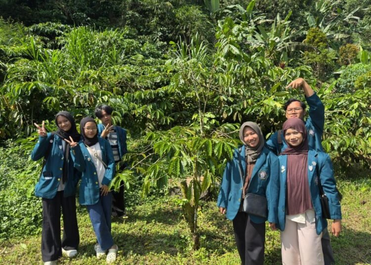 Mahasiswa Agribisnis Universitas Diponegoro melakukan observasi budidaya kopi organik di Kabupaten Batang sebagai bagian dari kegiatan praktikum lapangan.