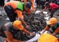 Dominasi Ikan Sapu-Sapu di Jakarta: Risiko terhadap Keanekaragaman Hayati dan Solusi Pengendaliannya 49 Foto hasil penangkapan ikan sapu-sapu di Jakarta (Sumber: multimedia.beritajakarta.id)