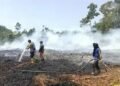 Kebakaran Hutan dan Lahan Kembali Ancam Dumai, Tim Gabungan Terus Berjibaku Padamkan Api 47 WhatsApp Image 2026 06 13 at 11.52.00