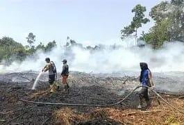 Kebakaran Hutan dan Lahan Kembali Ancam Dumai, Tim Gabungan Terus Berjibaku Padamkan Api 28 WhatsApp Image 2026 06 13 at 11.52.00