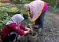 Gerakan Pekarangan Sehat Hemat sebagai Bentuk Pemberdayaan Masyarakat dalam Mendukung Sustainable Development Goals 58 Dokumentasi saat menanam bibit sayuran (Sumber: Dokumentasi Pribadi)