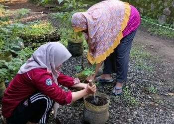 Dokumentasi saat menanam bibit sayuran (Sumber: Dokumentasi Pribadi)