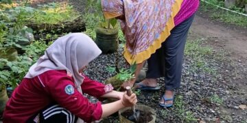 Dokumentasi saat menanam bibit sayuran (Sumber: Dokumentasi Pribadi)