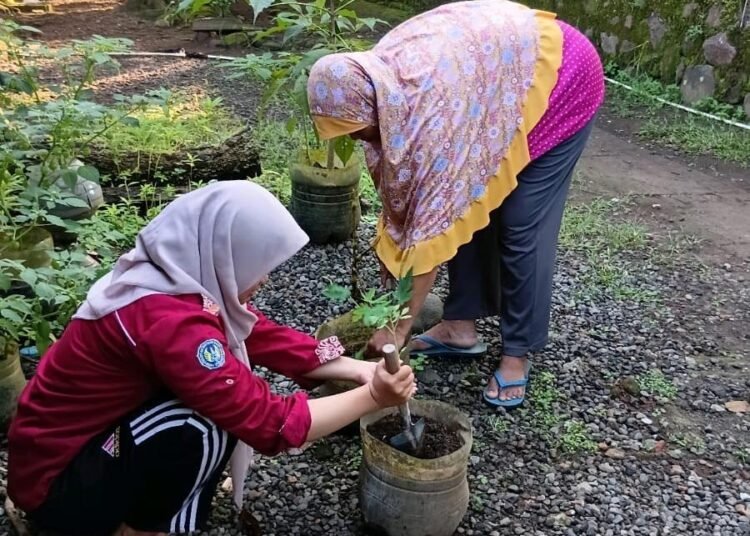 Dokumentasi saat menanam bibit sayuran (Sumber: Dokumentasi Pribadi)