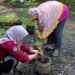 Dokumentasi saat menanam bibit sayuran (Sumber: Dokumentasi Pribadi)