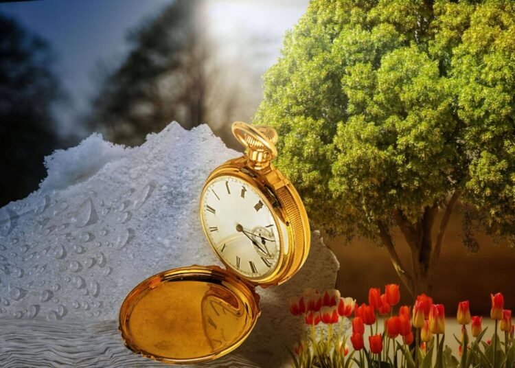 Gambar oleh Birgit Keil dari Pixabay
