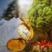 Gambar oleh Birgit Keil dari Pixabay