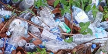 Analisis Psikologis di Balik Kebiasaan Membuang Sampah Sembarangan 56 Foto tumpukan sampah botol plastik (Sumber: Dokumentasi Pribadi)