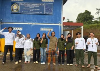Dari Ruang Kelas ke Kandang: Mahasiswa Agribisnis Undip Kampus Batang Membandingkan Teori dan Praktik Manajemen Ayam Pedaging 46 foto dikandang