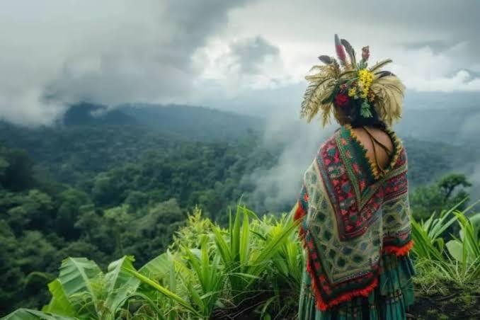 Papua dalam Radar NGO Dunia: Ketika Hutan Tropis Jadi Isu Geopolitik Global 46 images 9