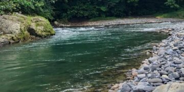 Surga Tersembunyi di Tanah Sumatera: Pesona Lau Berte Menenangkan Jiwa 28 lau berte